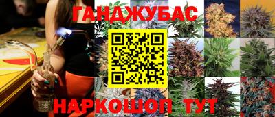 мяу мяу мука Славгород