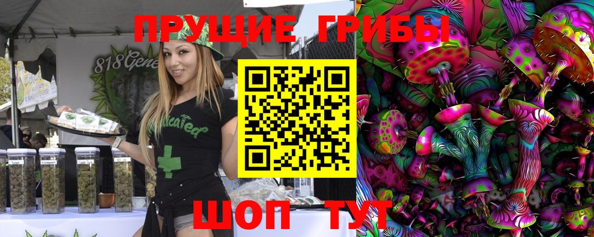 Псилоцибиновые грибы прущие грибы Мытищи