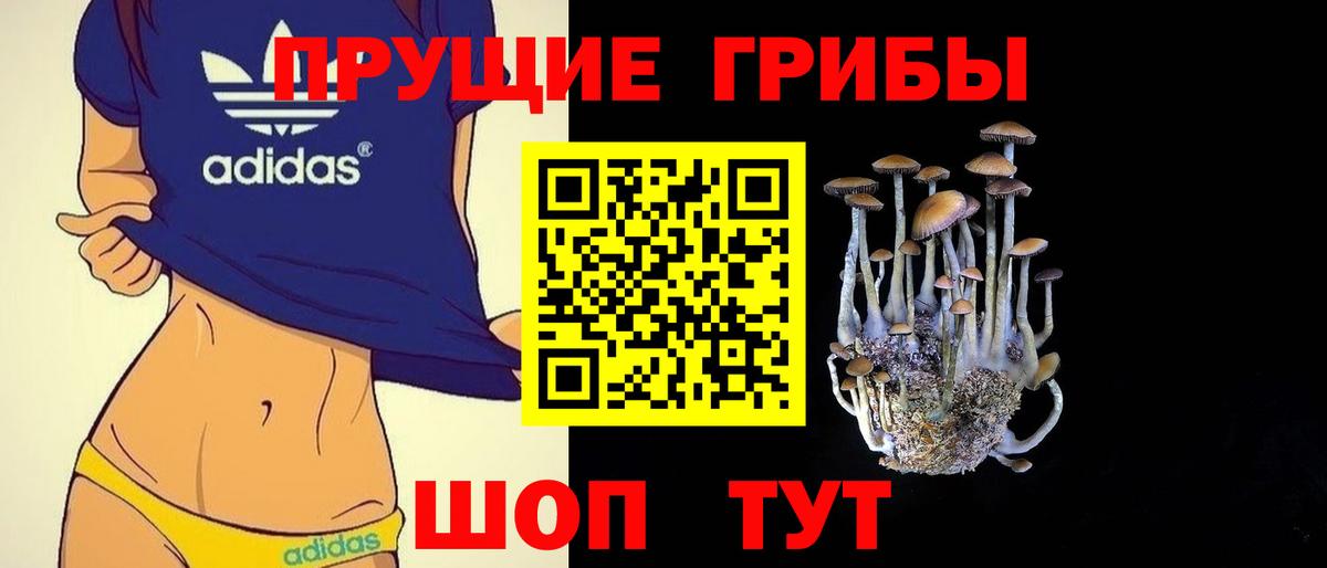 Псилоцибиновые грибы ЛСД  Вход с VPN  наркотики  Мытищи 